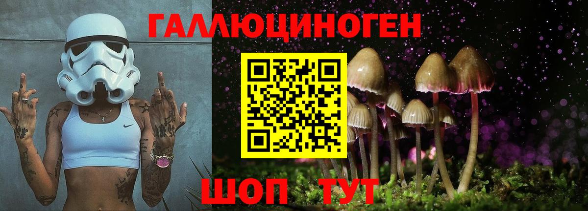 Псилоцибиновые грибы мухоморы Тельмана