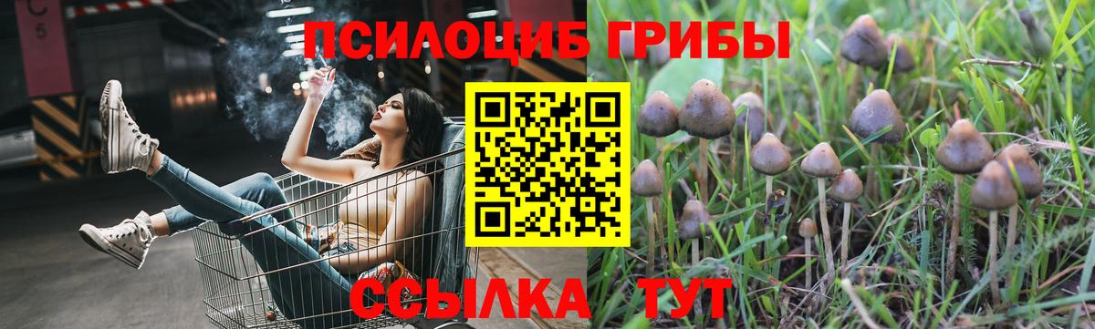 Галлюциногенные грибы прущие грибы  Вход с VPN  Тельмана  Галлюциногенные грибы GOLDEN TEACHER 
